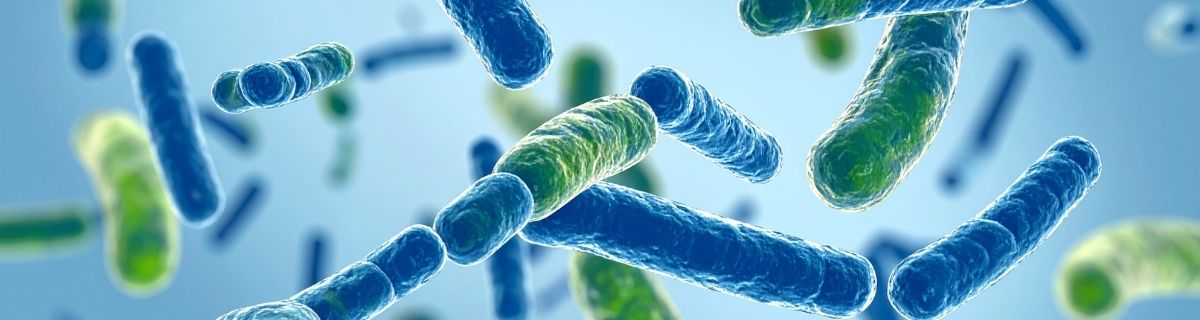 Equilibrio de la flora intestinal y bienestar digestivo